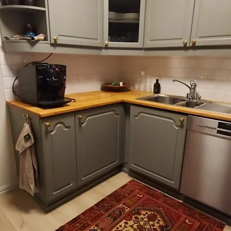 Large Single-family On Dalgard With Walking Distance To Vm2025 Τρόντχαϊμ