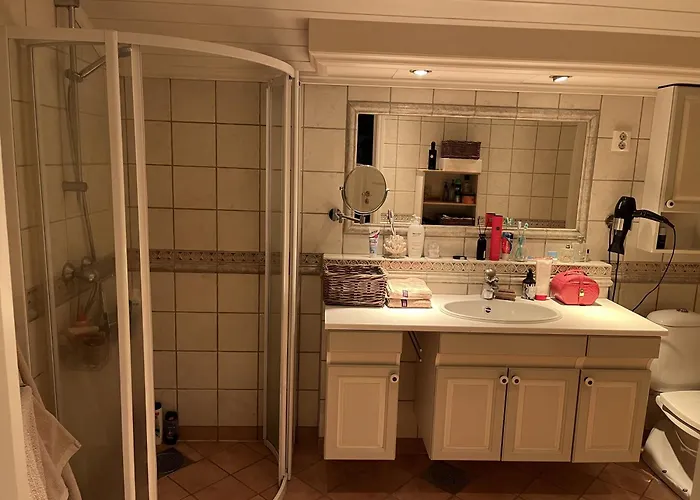 Villa Large Single-family On Dalgard With Walking Distance To Vm2025 *
