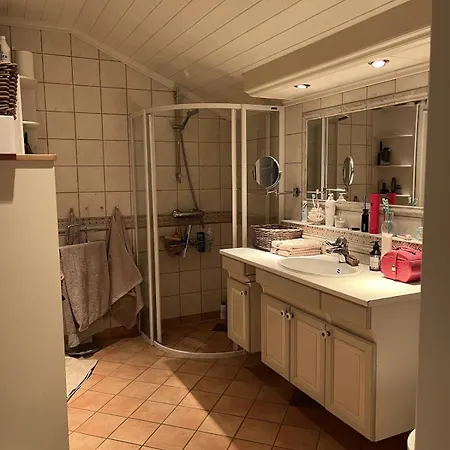 Large Single-family On Dalgard With Walking Distance To Vm2025